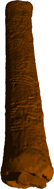 Ishango bone