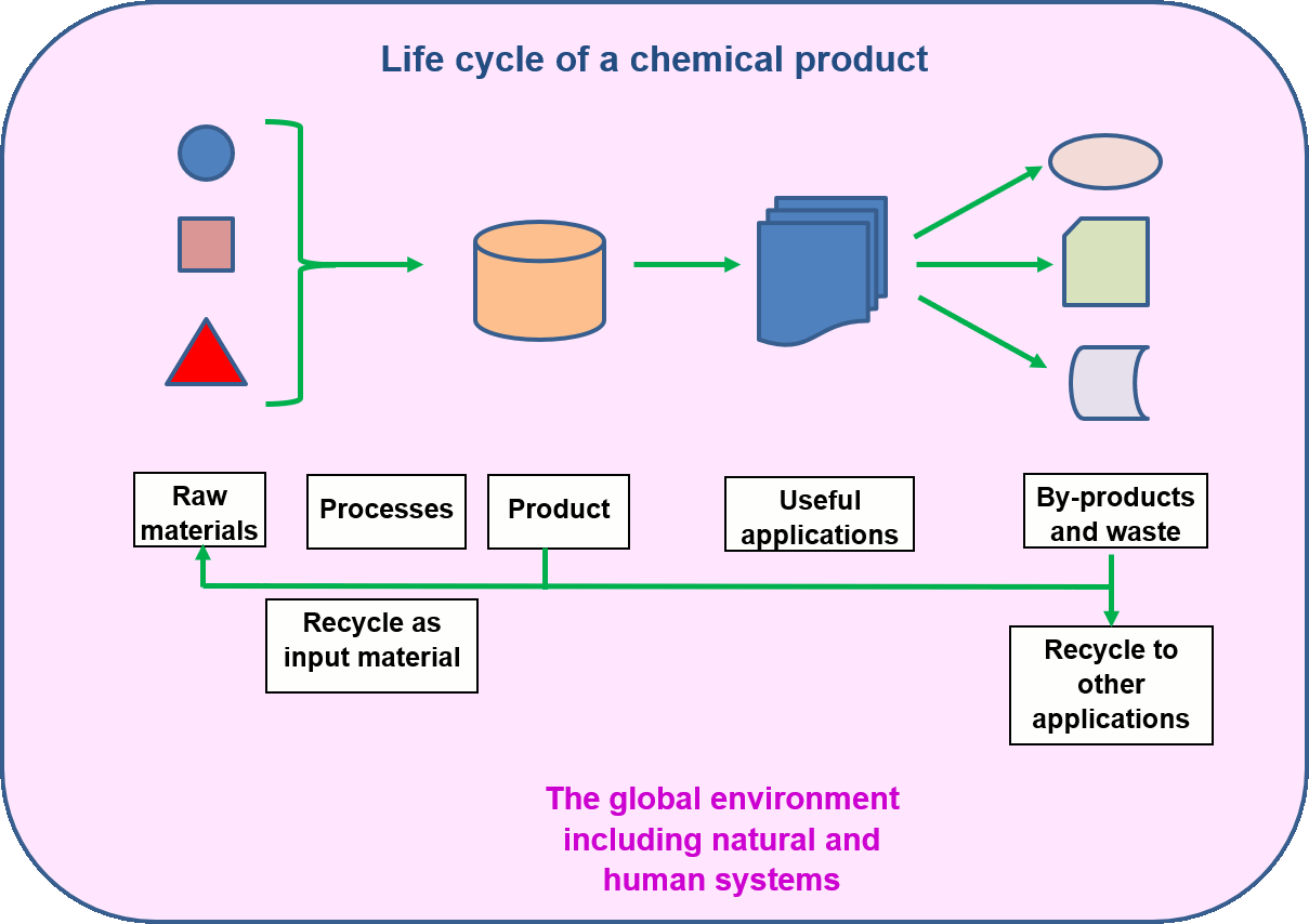 life cycle